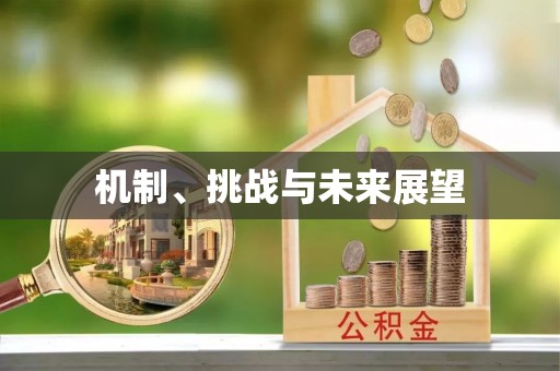 库尔勒机制、挑战与未来展望